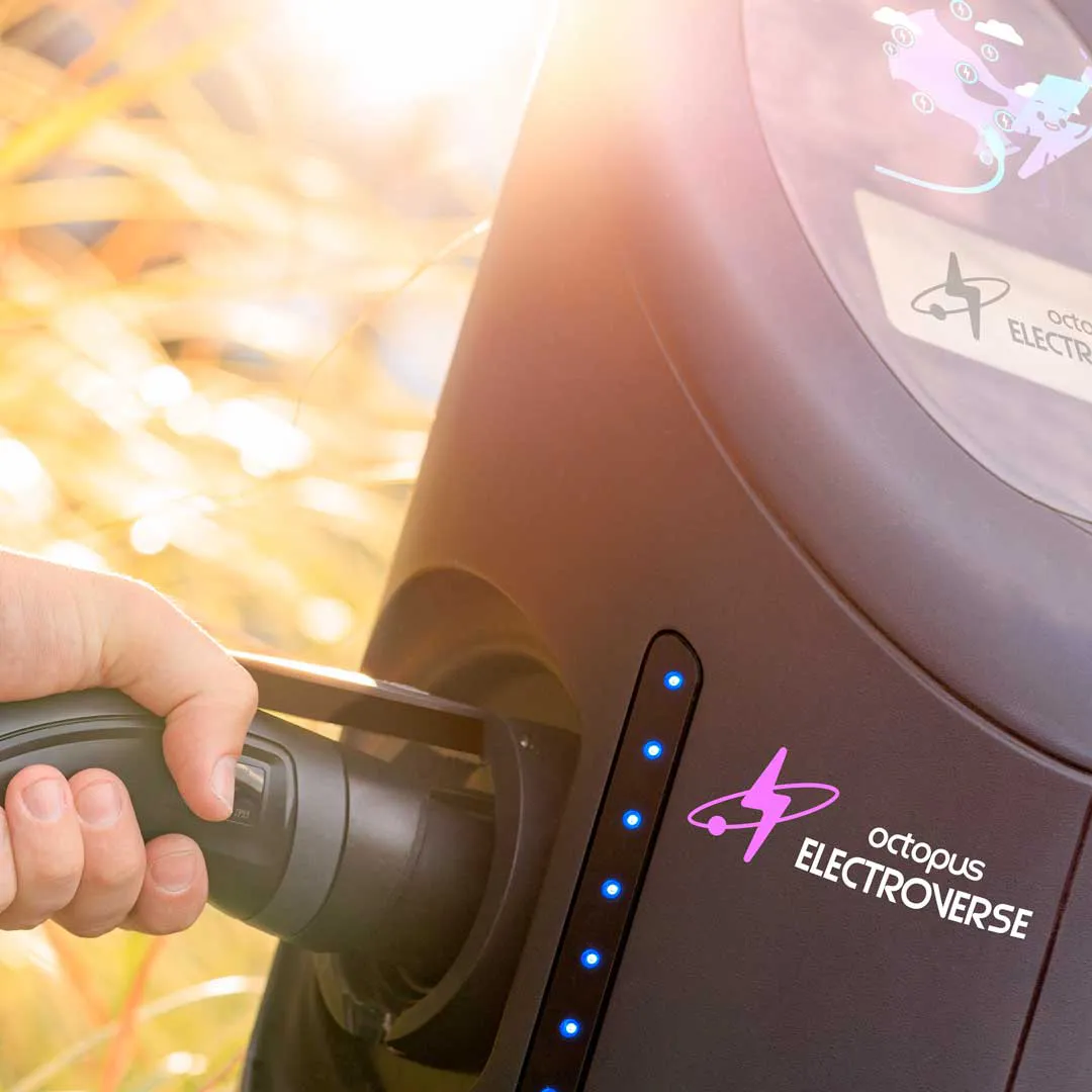 Octopus Energy public charger Electroverse